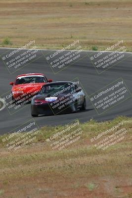 media/May-04-2024-Lucky Dog Racing (Sat) [[d39539b3f3]]/Race Pics/1015am (Turn 2)/